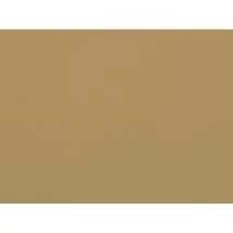 Ambassador repülőgépipari bőr