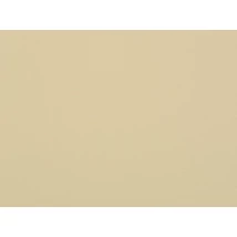 Ambassador repülőgépipari bőr