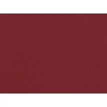 Ambassador repülőgépipari bőr