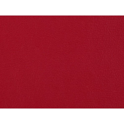 Ambassador repülőgépipari bőr